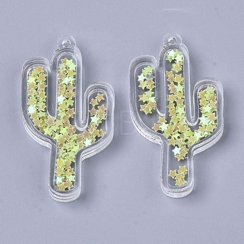 Transparent Acrylic Pendants TACR-R145-01-1
