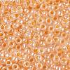 TOHO 8/0 Round Beads X-SEED-TR08-0904-2