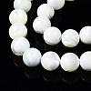Natural Trochid Shell/Trochus Shell Beads Strands SSHEL-S266-023A-04-3