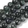 Natural Seraphinite Beads Strands G-C270-O01-11-2