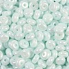 Opaque Colours Luster Glass Seed Beads SEED-P008-01C-04-2