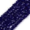 Glass Beads Strands EGLA-T021-01B-1