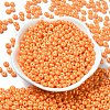 Baking Paint Luster Glass Seed Beads X1-SEED-B001-04A-10-2