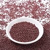 MIYUKI Round Rocailles Beads X-SEED-G007-RR1089-2