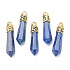 Bullet Natural Lapis Lazuli Pendants G-E332-C04-G-2