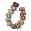 Natural Shoushan Stone Beads G-D098-B05-3