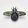 Natural Lapis Lazuli Brooches/Pendants G-S353-08D-2