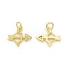 Rack Plating Brass with Cubic Zirconia Charms KK-C011-54G-1