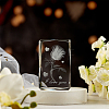 Transparent Glass Display Decorations DJEW-WH0010-42-4