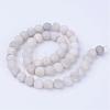 Natural Agate Beads Strands G-Q462-10mm-09-2