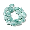 Natural Glass Beads Strands G-I247-26C-3