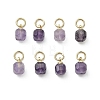 Natural Amethyst Pendants PALLOY-JF05300-02-1