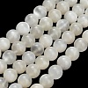 Natural White Moonstone Beads Strands G-L664-A01-8mm-A-2