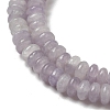 Natural Lepidolite/Purple Mica Stone Beads Strands G-K343-C03-02-4