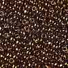 TOHO Round Seed Beads SEED-JPTR08-0421-2