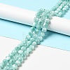 Natural Glass Beads Strands G-I247-31C-3