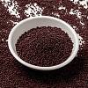 MIYUKI Round Rocailles Beads SEED-X0056-RR0419-2