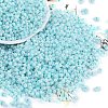 Opaque Colours Luster Glass Seed Beads X1-SEED-K010-04E-1