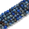 Dyed Natural Regalite/Imperial Jasper/Sea Sediment Jasper Beads Strands G-B124-C04-02-1