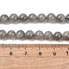 Natural Labradorite Beads Strands G-H326-01-6MM-1-3