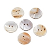 Freshwater Shell Buttons SHEL-K009-04-1