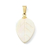 Natural Freshwater Shell Carved Pendants PALLOY-JF05288-01-1