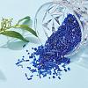 Glass Seed Beads X-SEED-S059-005-7