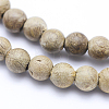 Natural Camphor Wood Beads Strands WOOD-P011-09-6mm-3