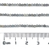 Natural Labradorite Beads Strands G-I341-11B-4