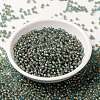 MIYUKI Round Rocailles Beads SEED-X0055-RR0351-1