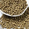 Baking Paint Glass Seed Beads SEED-B001-02A-18-1