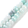 Electroplate Glass Beads Strands LAMP-S068-02J-1