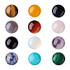 Fashewelry 24Pcs 12 Style Natural & Synthetic Gemstone Cabochons G-FW0001-05-11