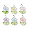 Transparent Acrylic Pendants PALLOY-JF03713-01-1