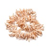 Natural Trochid Shell Beads Strands SSHEL-G023-05C-2