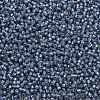 TOHO 11/0 Round Beads X-SEED-TR11-2102-2
