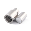 Tarnish Resistant 304 Stainless Steel Magnetic Clasps with Glue-in Ends LS-STAS-F276-04P-3