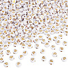 500Pcs Plating Acrylic Beads PACR-TADJ0001-01P-1