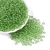 FGB Transparent Glass Seed Beads SEED-N013-01A-07-1