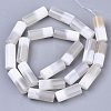 Natural Striped Agate/Banded Agate Beads Strands X-G-N326-09-2