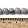 Natural Gemstone Beads Strands G-L641-A01-03-5