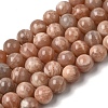 Natural Sunstone Beads Strands LS-GG-CBA56E5-01B-2