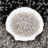 Baking Paint Transparent Glass Seed Beads SEED-N006-05A-3