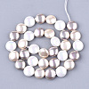 Shell Pearl Beads Strands PEAR-T003-02-2