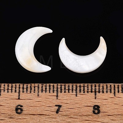 Natural Freshwater Shell Cabochons SHEL-S267-04B-1