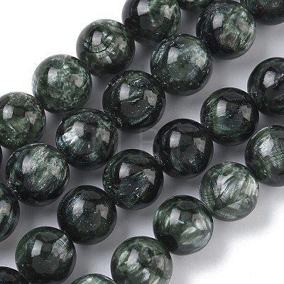 Natural Seraphinite Beads Strands G-C270-O01-11-1
