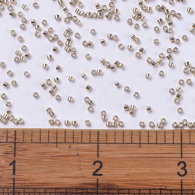 MIYUKI Delica Beads X-SEED-J020-DB0433-1