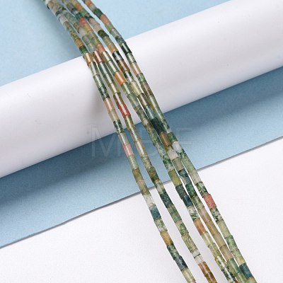 Natural Indian Agate Beads Strands G-M389-14-1