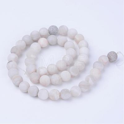 Natural Agate Beads Strands G-Q462-10mm-09-1