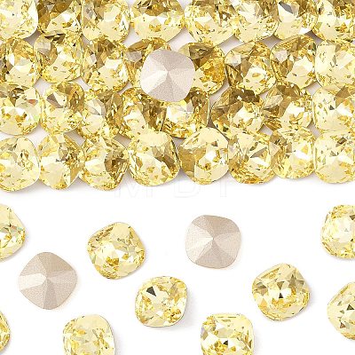 Preciosa® MAXIMA Crystal Fancy Stones X-PRC-FC12-80100-1